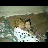 Halloween02.jpg